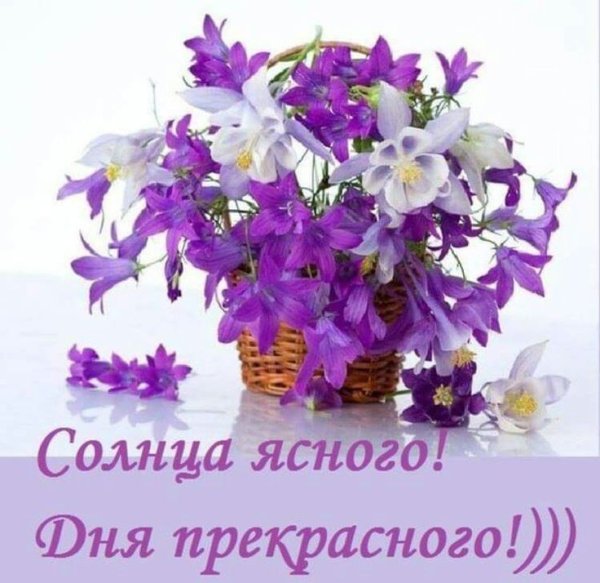 Доброе утро колокольчики