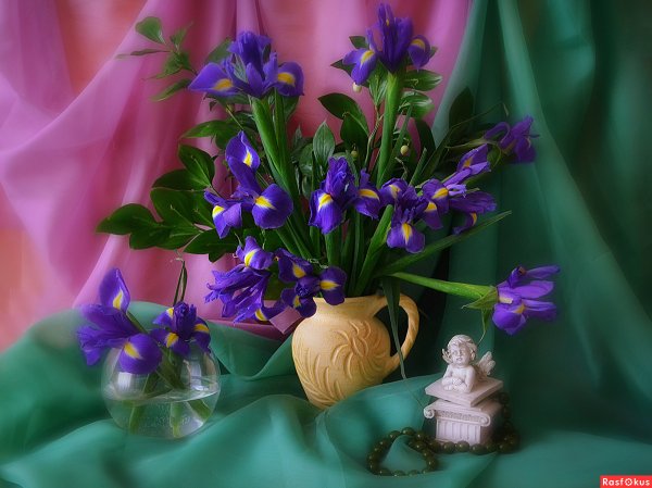 Доброе утро с ирисами