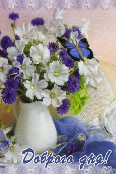 Доброго денечка с цветами