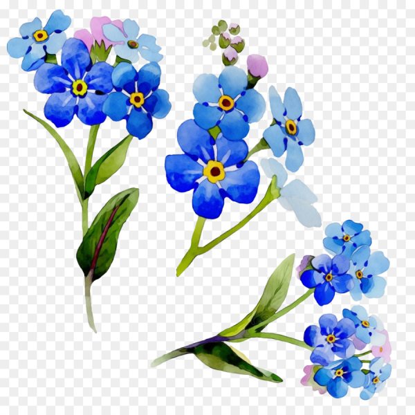 Незабудки акварелью