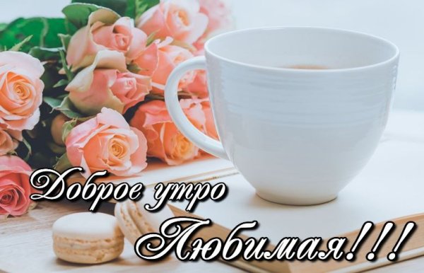Доброе утро любовь