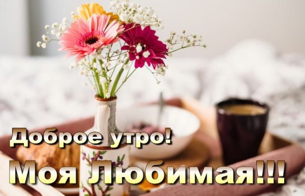 Доброе утро любимый