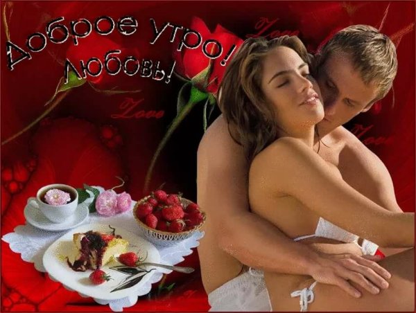 Откровенный Романтик / fitopopka.ru