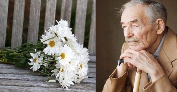 Дедушка с ромашками