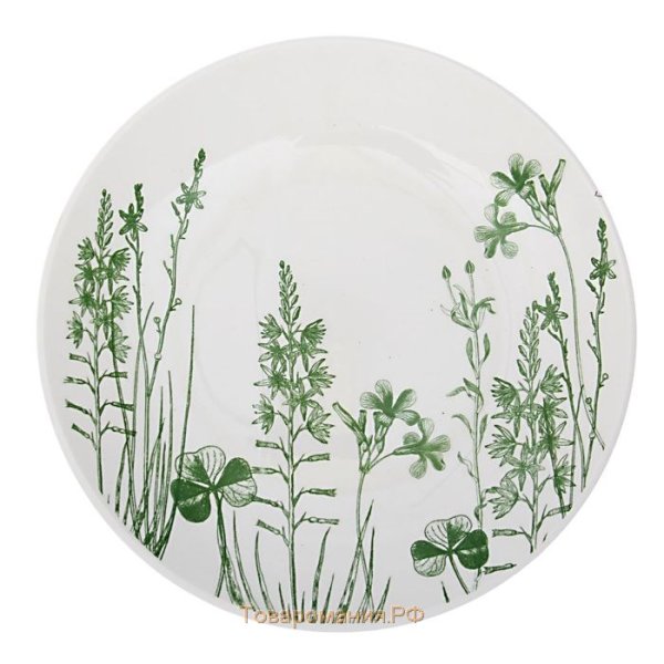 Тарелка Соната 220мм, гр. 8, гербарий-травы