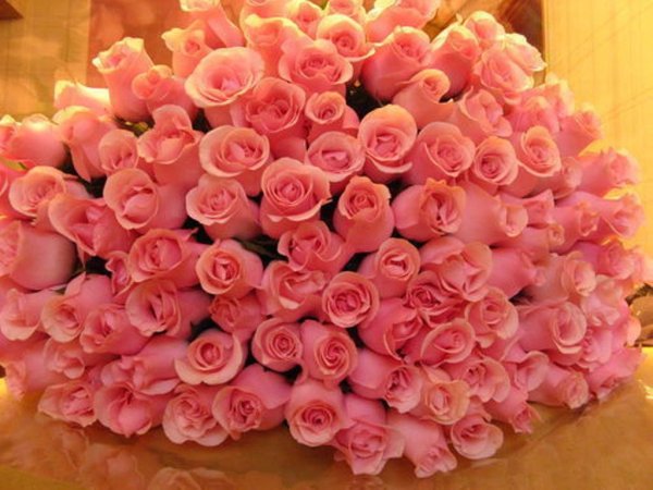 Большой букет роз с днем рождения