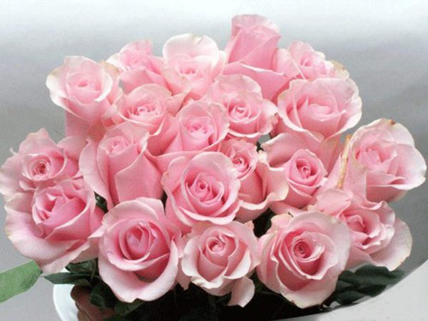 С днём рождения розовые розы