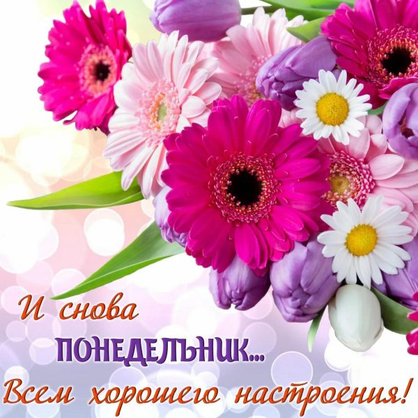 Цветы любимой с добрым утром