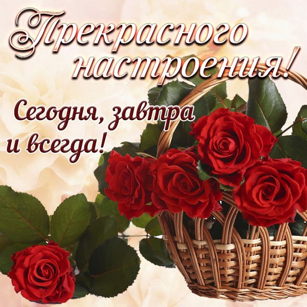 Хорошего настроения ромашки