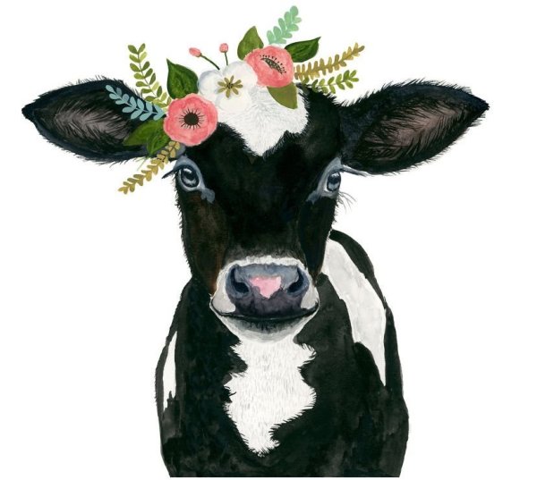 Морда коровы