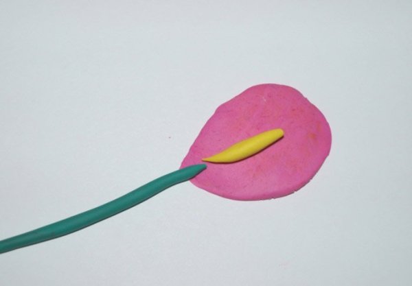 Лепка цветов из пластилина для детей