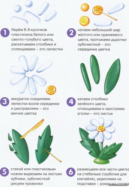 Алгоритм лепки цветов в средней группе