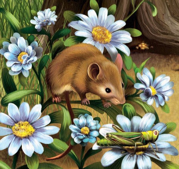 Мышиный цвет