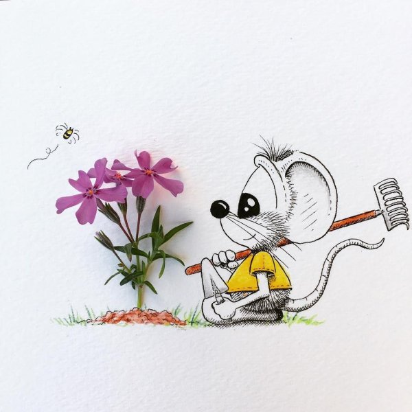 Красивая мышка