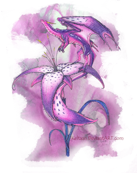 Дракон красного цвета