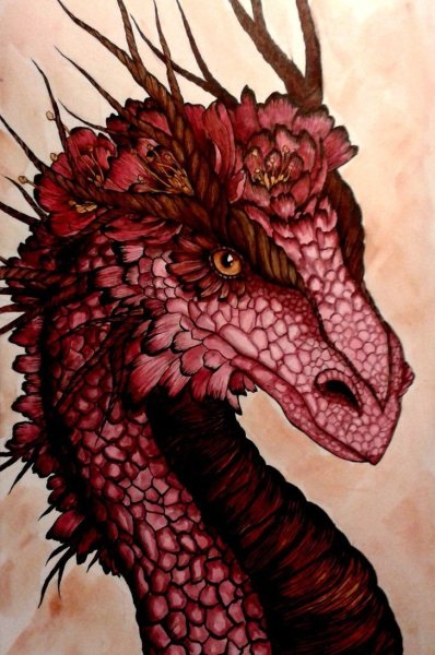 Эн Стоукс Кельтский дракон