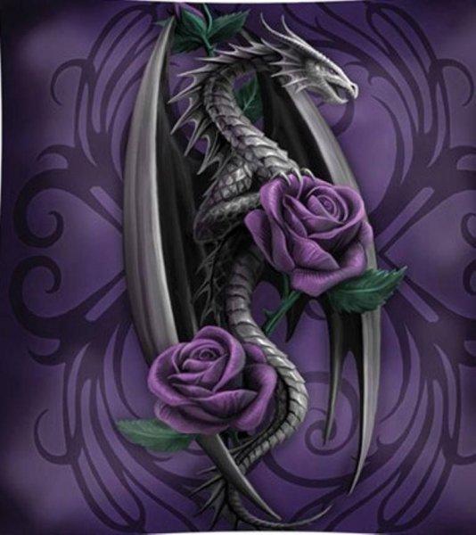 Цветы дракончики комнатные