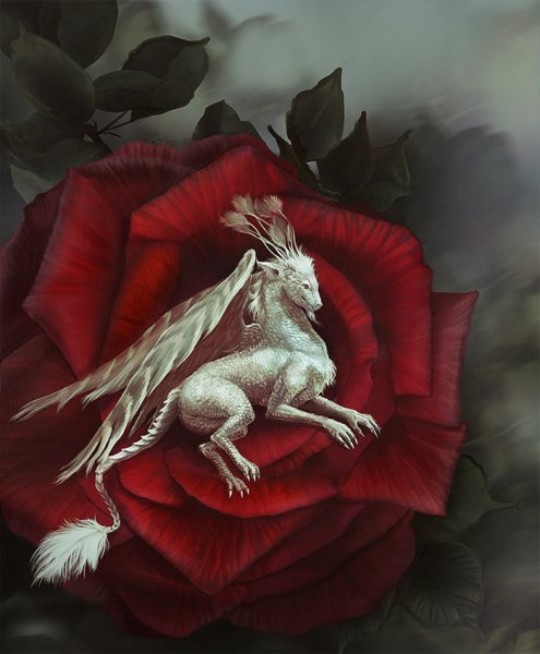 Драконы Стэнли Моррисон