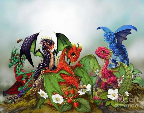 Дракон и Сакура