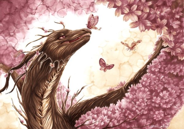 Растение дракон