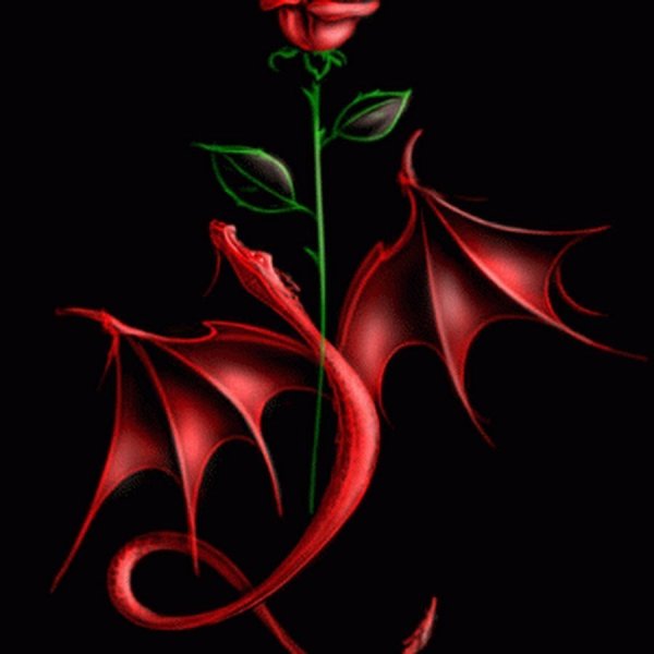 Тату дракон цветной