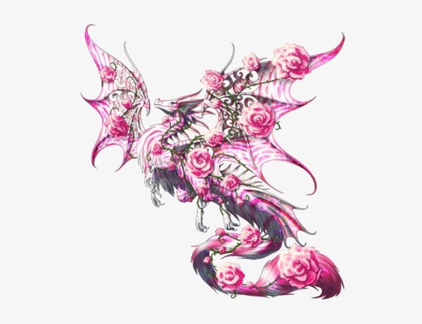 Розово красный дракон