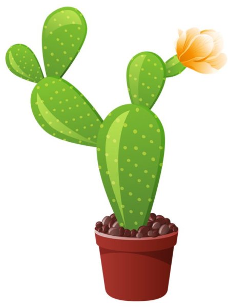 Мультяшная комнатные растения