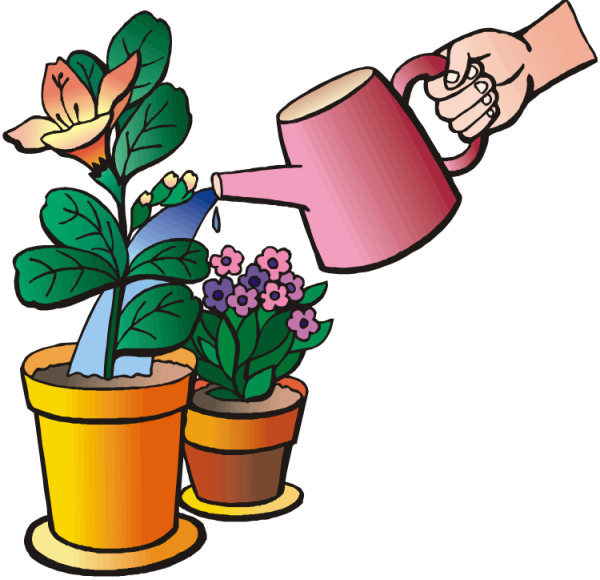 Полив растений для детей