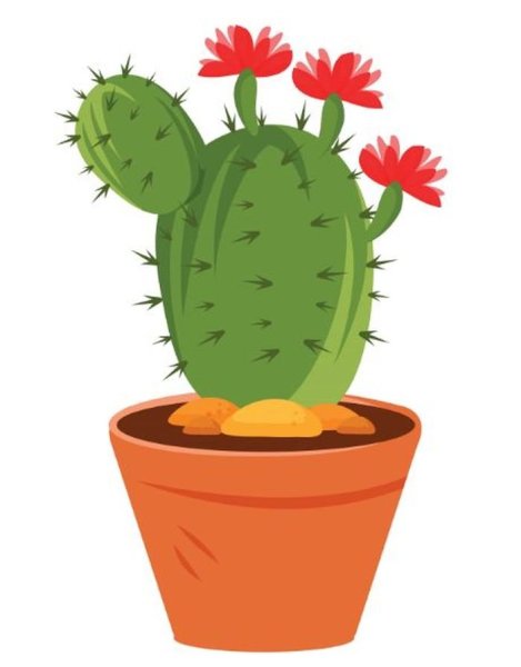 Кактус для детей