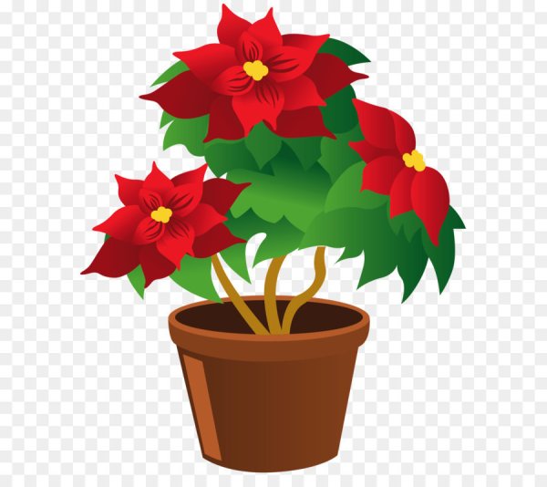 Комнатные растения вектор