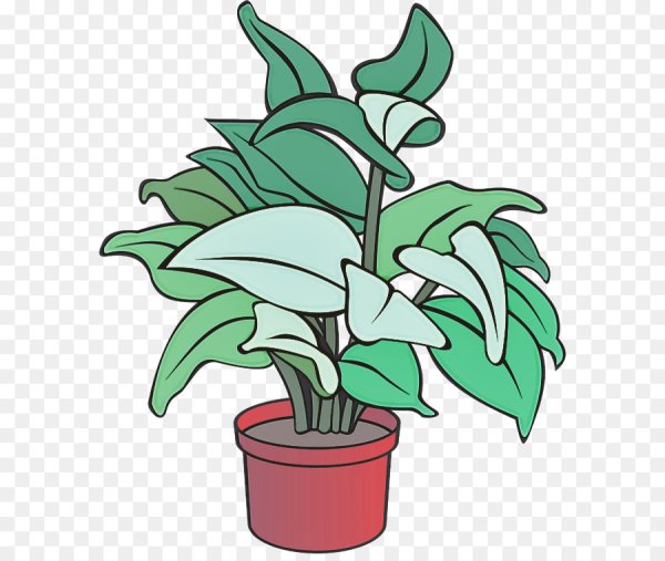 Комнатные цветы вектор