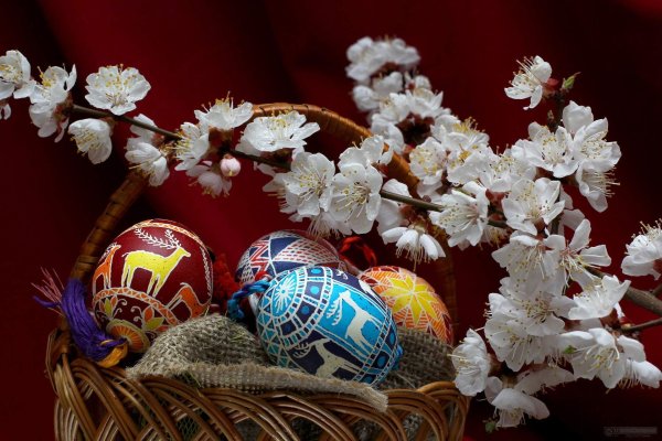 Пасхальные открытки