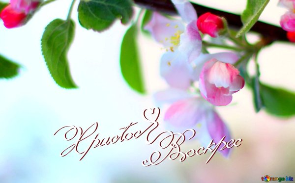 Праздник "Пасха"