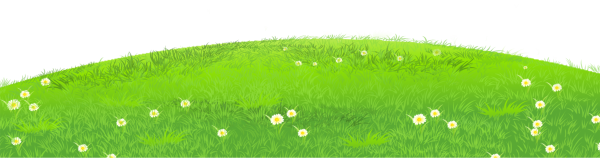 Трава Поляна вектор