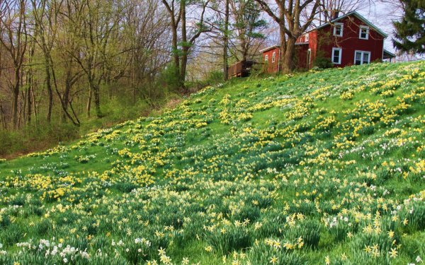 Лесная Поляна Калуга