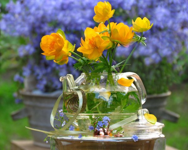 Живые цветы в чайнике