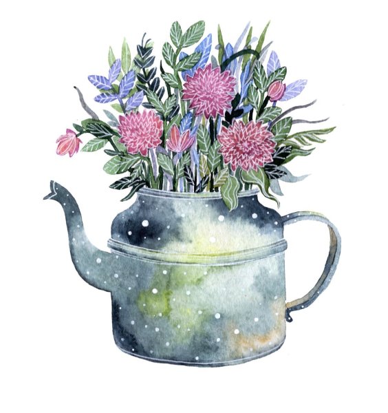 Цветы в чайнике