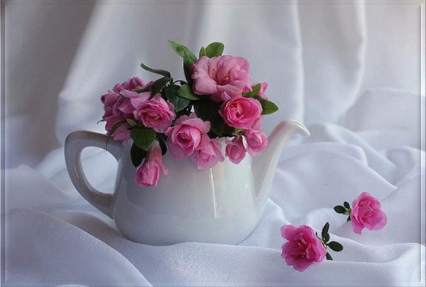 Зеленый чай цветок распускается