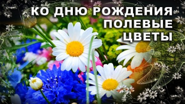 Поздравления с днём рождения полевые цветы