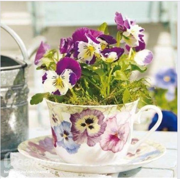 Букет в чашке