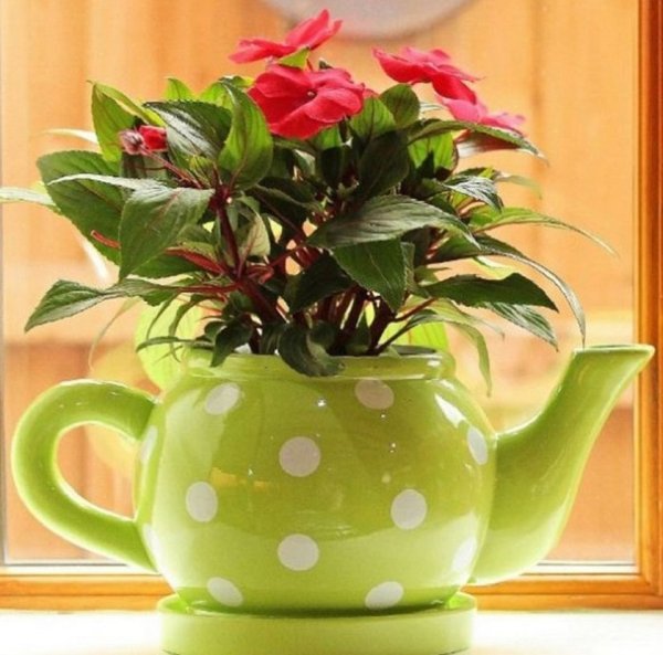 Полевые цветы в кружке