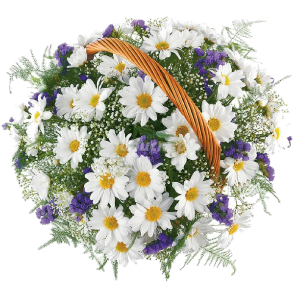 Корзина с полевыми цветами