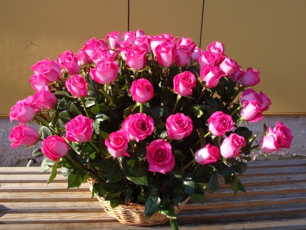 Букет роз для племянницы