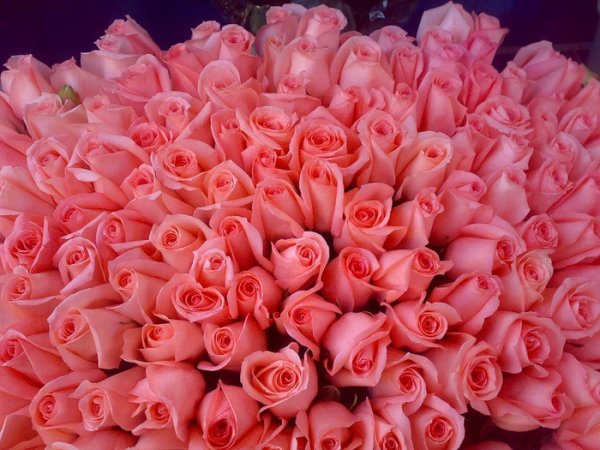 Роскошный букет цветов для девушки