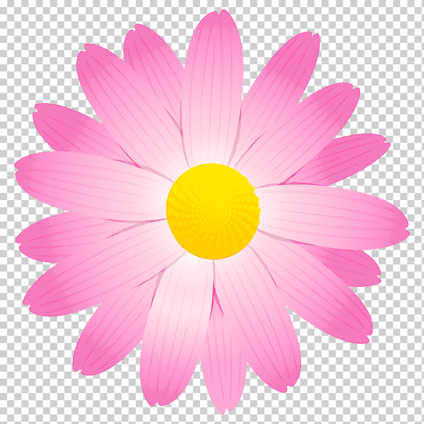 Цветная Ромашка Векторная