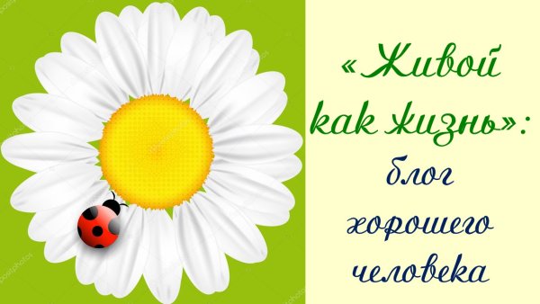 Ромашки для вырезания цветные