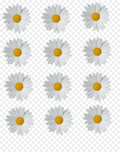 Ромашки раздаточный материал