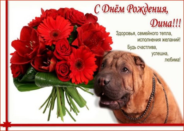 С днём рождения Дина