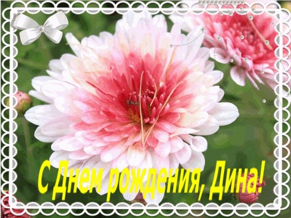 Открытки с днём рождения Дина
