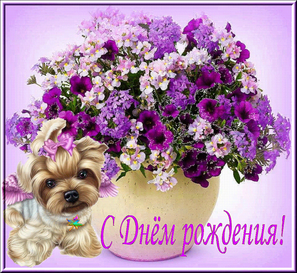 Поздравить Диану с днем рождения
